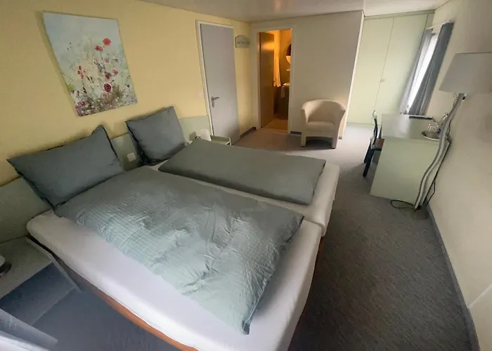 Hotel Zum Schweizerhaus