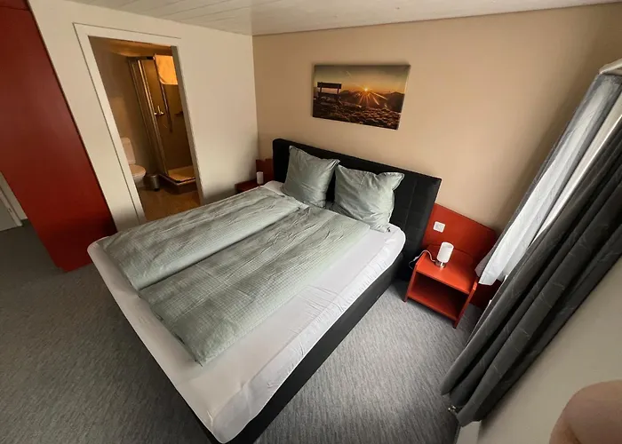 Hotel Zum Schweizerhaus 2*