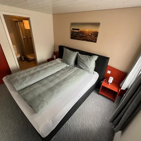 Hotel Zum Schweizerhaus 2*