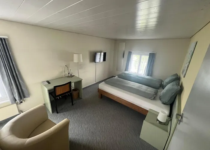 Zum Schweizerhaus Hotel 2*